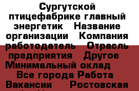 Сургутской птицефабрике главный энергетик › Название организации ­ Компания-работодатель › Отрасль предприятия ­ Другое › Минимальный оклад ­ 1 - Все города Работа » Вакансии   . Ростовская обл.,Новошахтинск г.